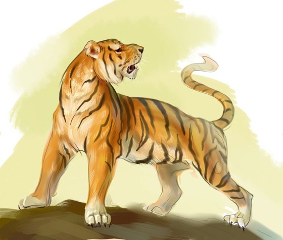 Анималистика: 7467