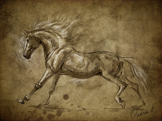 Анималистика: 7467